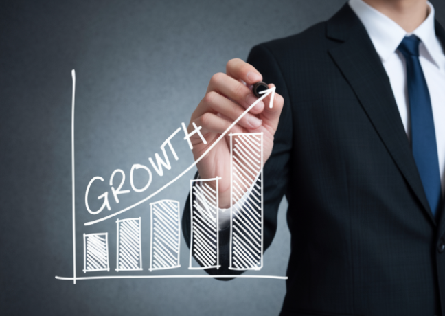 Business Growth Strategy